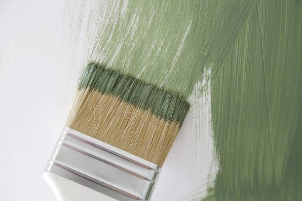 Best Attic Mold Removal  in Blooming Prairie, MN