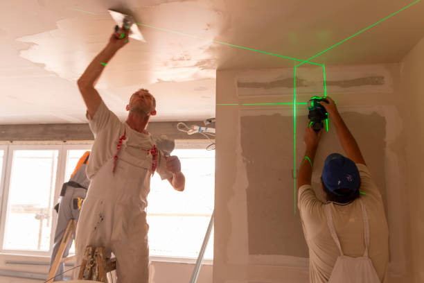 Best Black Mold Removal  in Blooming Prairie, MN