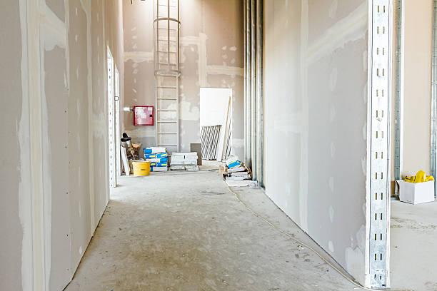 Best HVAC Mold Inspection and Cleaning  in Blooming Prairie, MN