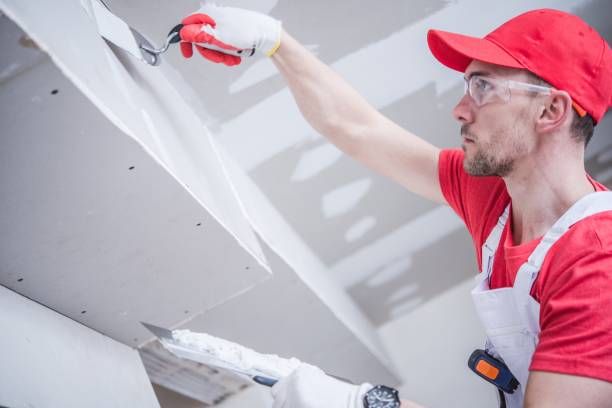 Best Forensic Mold Investigation  in Blooming Prairie, MN