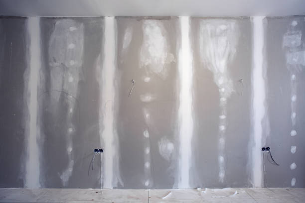 Best Basement Mold Removal  in Blooming Prairie, MN